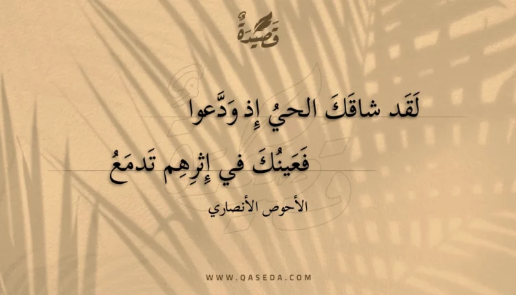 قصيدة لقد شاقك الحي إذ ودعوا