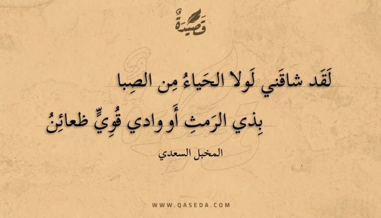 قصيدة لقد شاقني لولا الحياء من الصبا