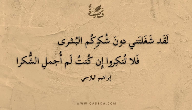قصيدة لقد شغلتني دون شكركم البشرى