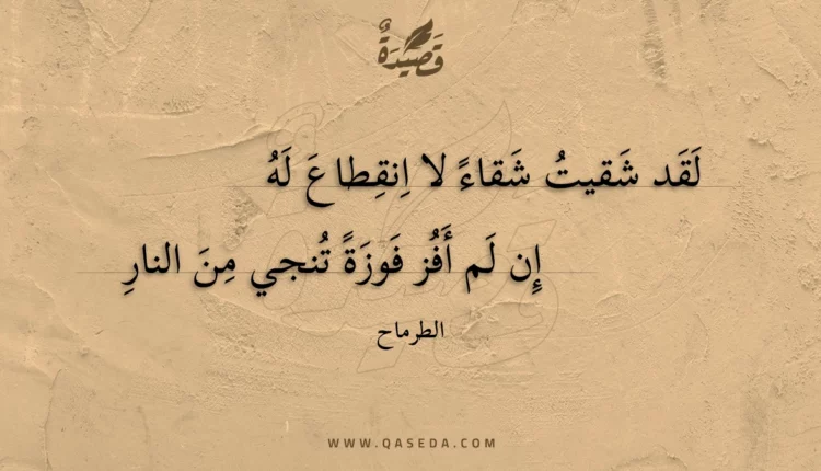 قصيدة لقد شقيت شقاء لا انقطاع له