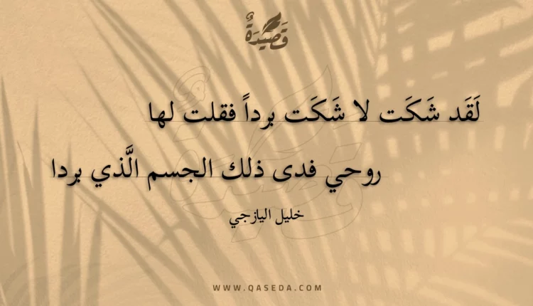 قصيدة لقد شكت لا شكت بردا فقلت لها