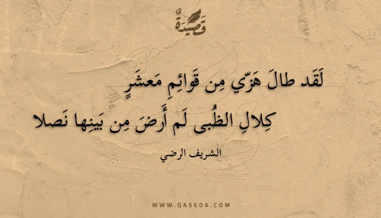 قصيدة لقد طال هزي من قوائم معشر