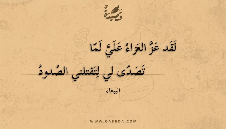قصيدة لقد عز العزاء علي لما