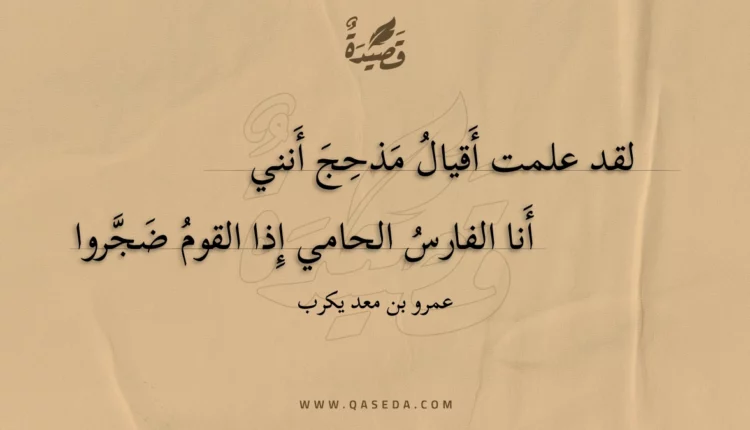 قصيدة لقد علمت أقيال مذحج أنني