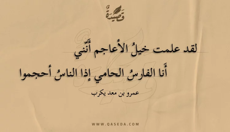 قصيدة لقد علمت خيل الأعاجم أنني