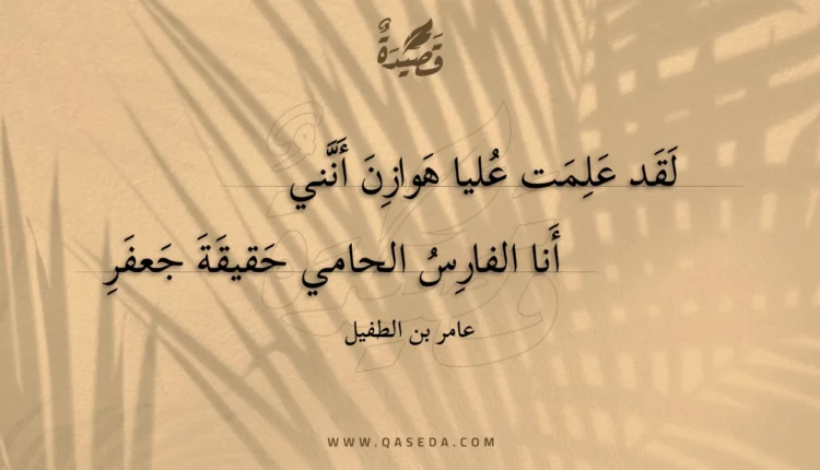 قصيدة لقد علمت عليا هوازن أنني