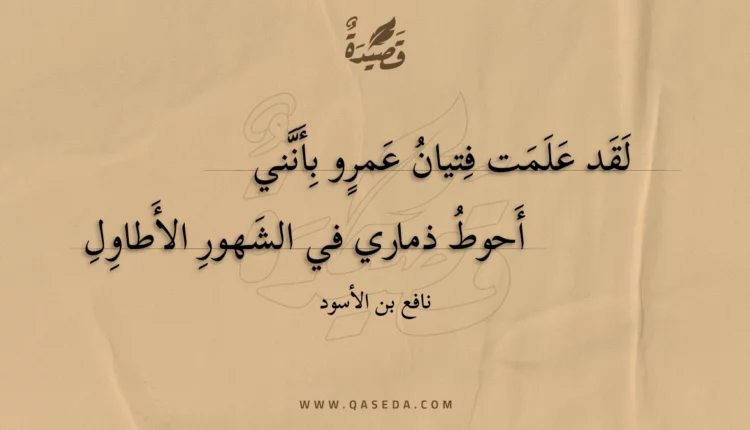 قصيدة لقد علمت فتيان عمرو بأنني