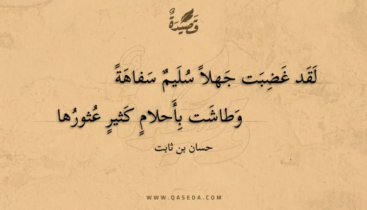 قصيدة لقد غضبت جهلا سليم سفاهة