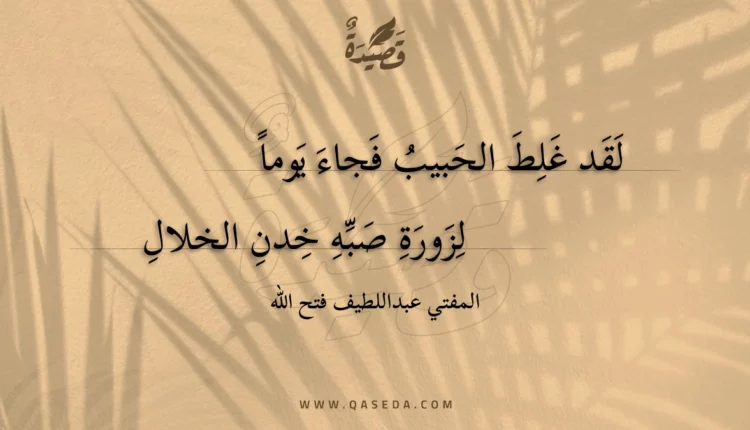 قصيدة لقد غلط الحبيب فجاء يوما