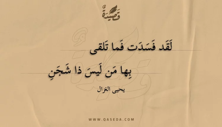 قصيدة لقد فسدت فما تلقى