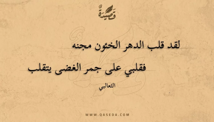 قصيدة لقد قلب الدهر الخئون مجنه