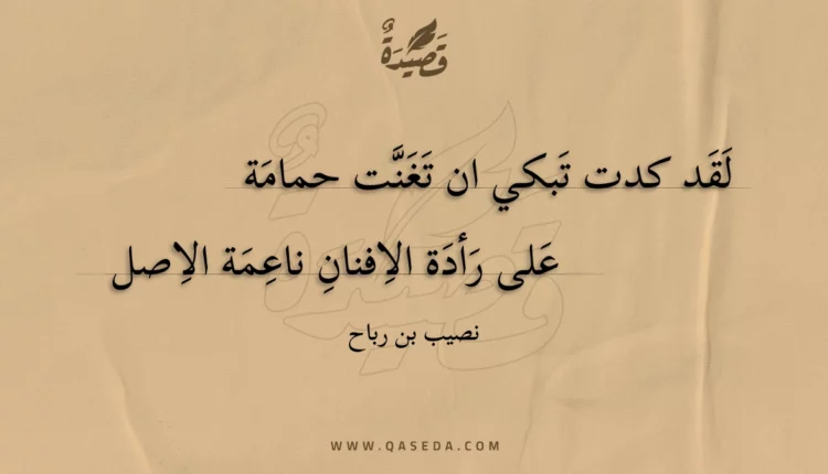 قصيدة لقد كدت تبكي ان تغنت حمامة