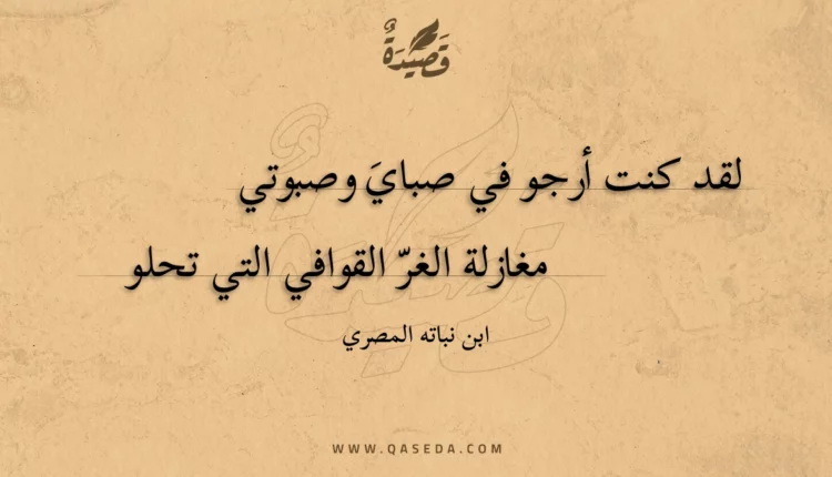 قصيدة لقد كنت أرجو في صباي وصبوتي