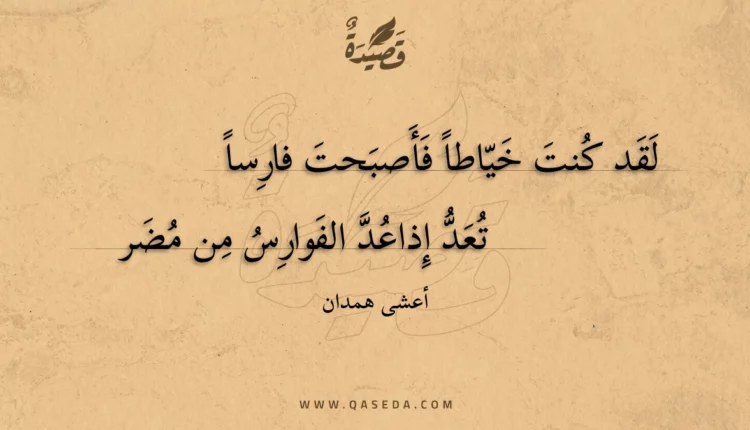 قصيدة لقد كنت خياطا فأصبحت فارسا