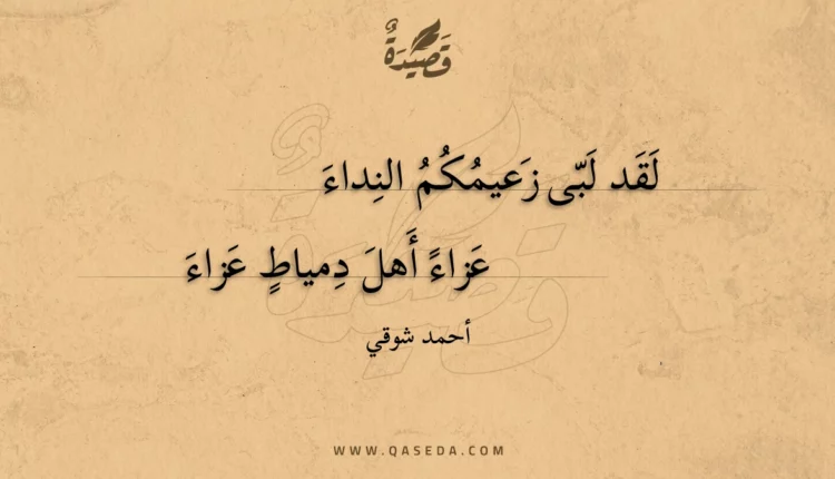 قصيدة لقد لبى زعيمكم النداء