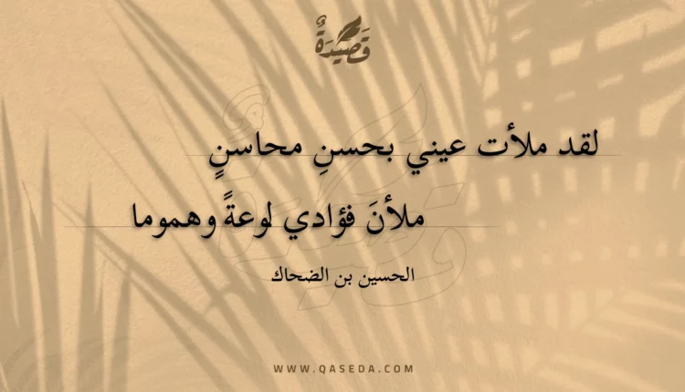 قصيدة لقد ملأت عيني بحسن محاسن