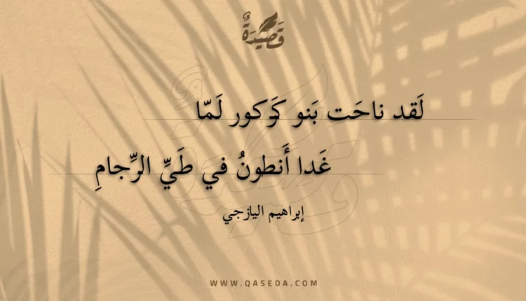 قصيدة لقد ناحت بنو كركور لما