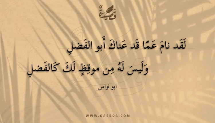 قصيدة لقد نام عما قد عناك أبو الفضل