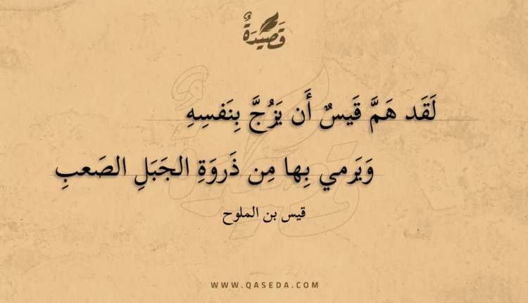 قصيدة لقد هم قيس أن يزج بنفسه