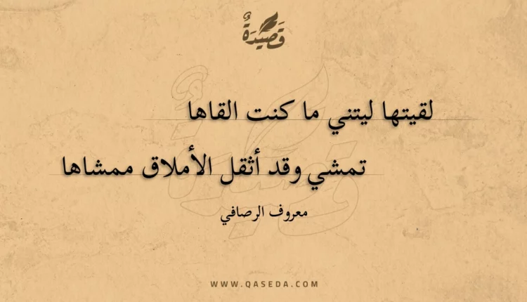 قصيدة لقيتها ليتني ما كنت القاها