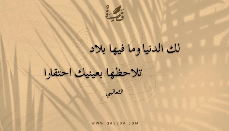 قصيدة لك الدنيا وما فيها بلاد
