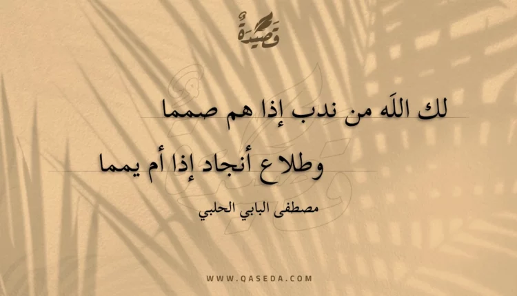 قصيدة لك اللَه من ندب إذا هم صمما