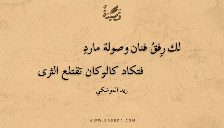 قصيدة لك رفق فنان وصولة مارد