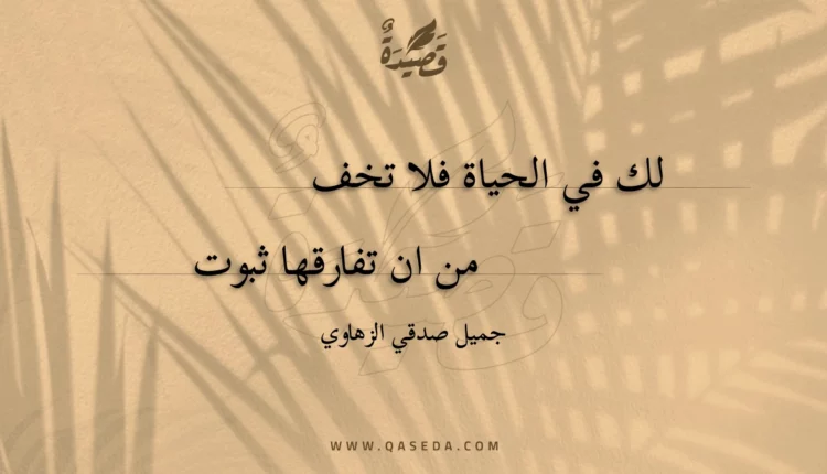 قصيدة لك في الحياة فلا تخف