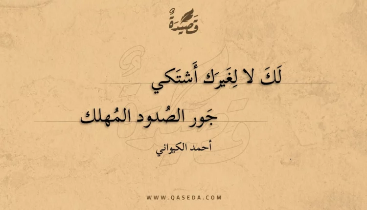 قصيدة لك لا لغيرك أشتكي