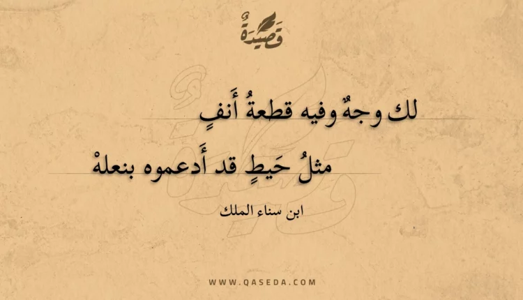 قصيدة لك وجه وفيه قطعة أنف