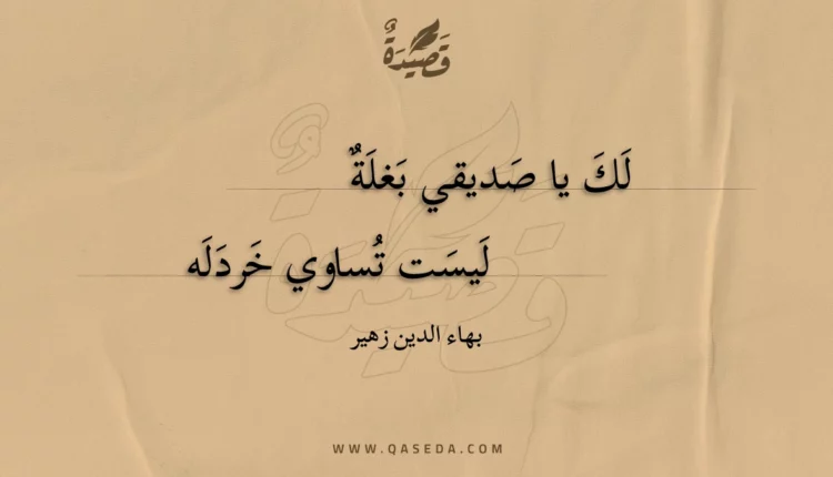 قصيدة لك يا صديقي بغلة