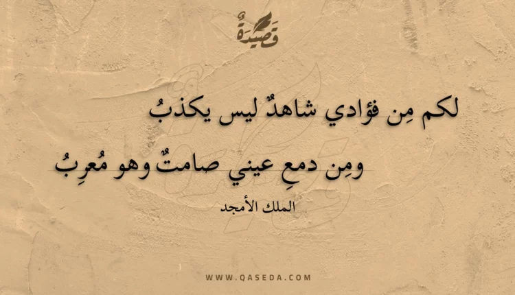 قصيدة لكم من فؤادي شاهد ليس يكذب