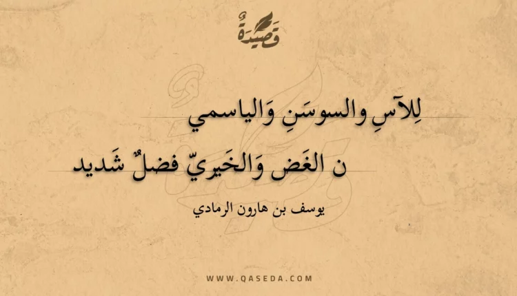 قصيدة للآس والسوسن والياسمين