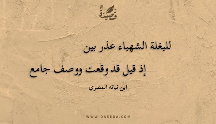 قصيدة للبغلة الشهباء عذر بين