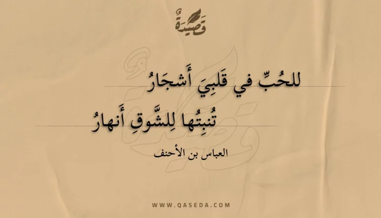 قصيدة للحب في قلبي أشجار