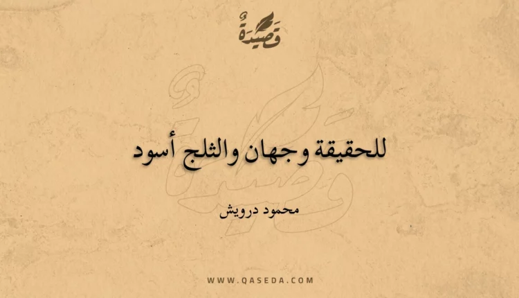 قصيدة للحقيقة وجهان والثلج أسود