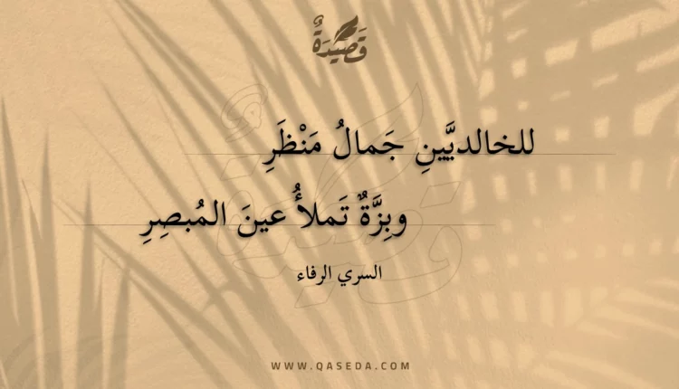 قصيدة للخالديين جمال منظر
