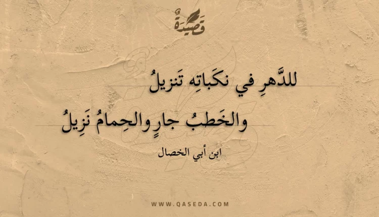 قصيدة للدهر في نكباته تنزيل