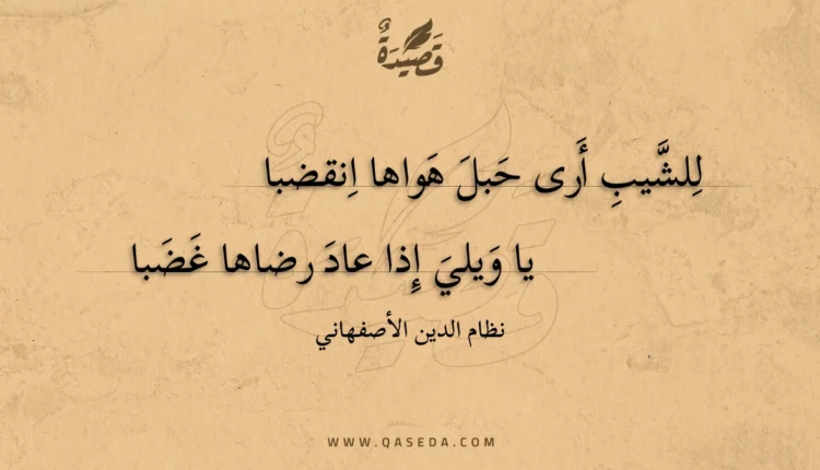قصيدة للشيب أرى حبل هواها انقضبا