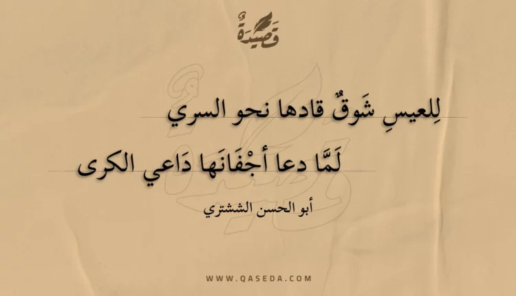 قصيدة للعيس شوق قادها نحو السري