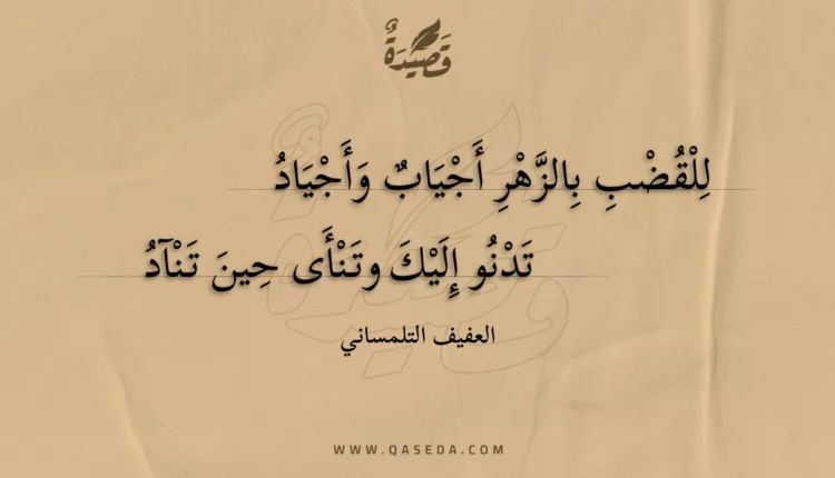 قصيدة للقضب بالزهر أجياب وأجياد