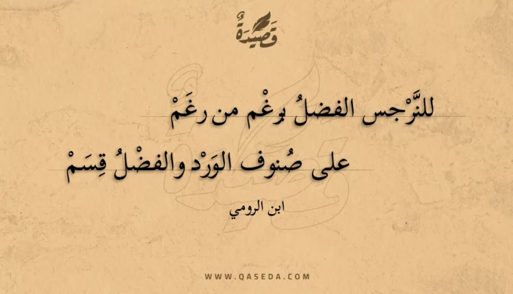 قصيدة للنرجس الفضل برغم من رغم