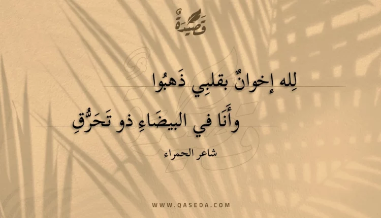 قصيدة لله إخوان بقلبي ذهبوا