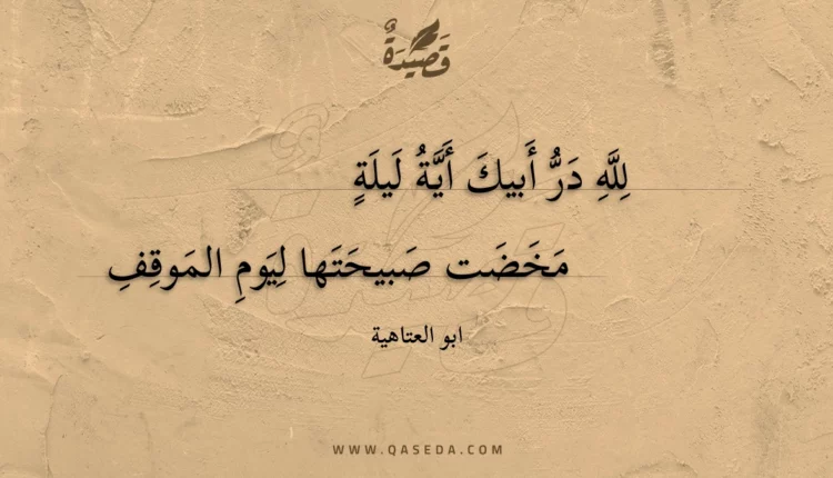 قصيدة لله در أبيك أية ليلة