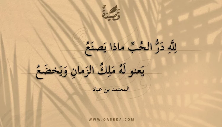 قصيدة لله در الحب ماذا يصنع