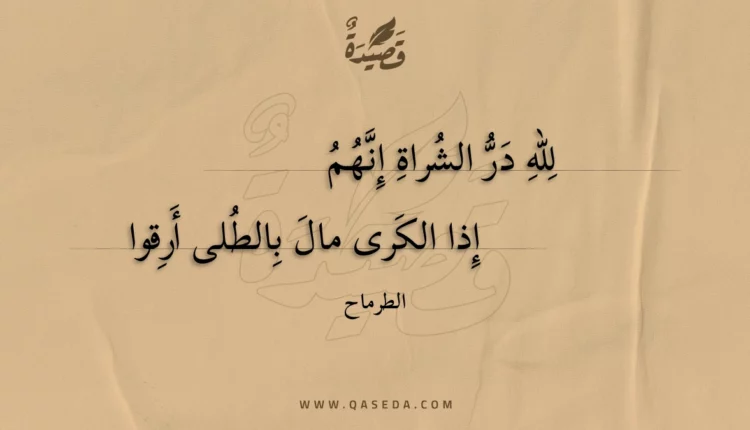 قصيدة لله در الشراة إنهم