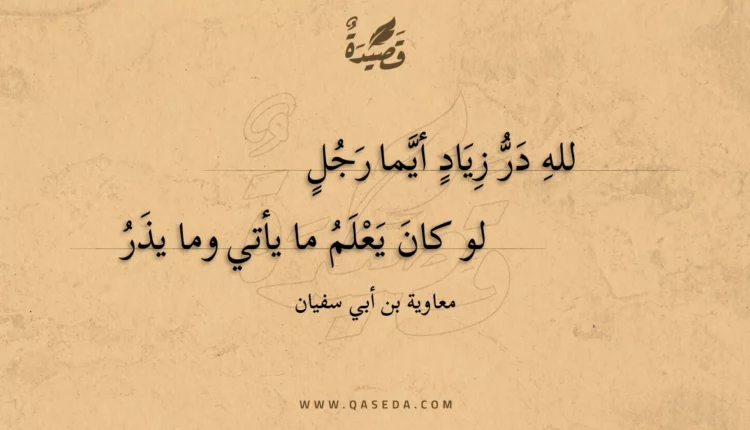 قصيدة لله در زياد أيما رجل