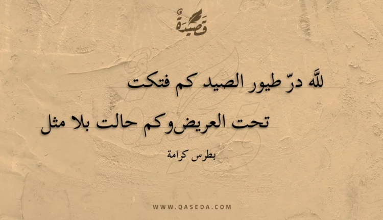 قصيدة لله در طيور الصيد كم فتكت