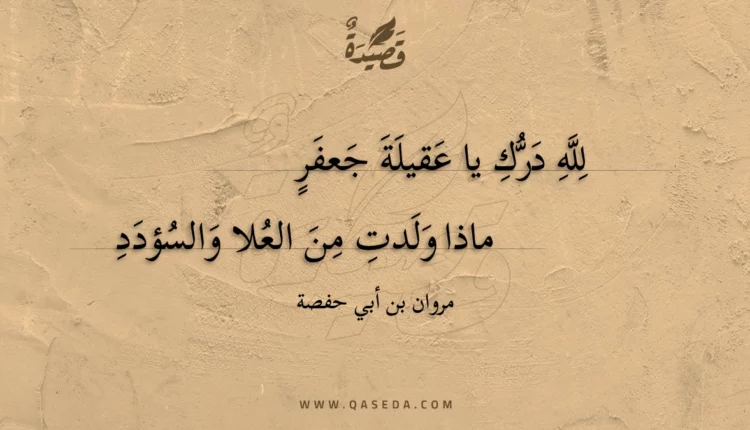 قصيدة لله درك يا عقيلة جعفر