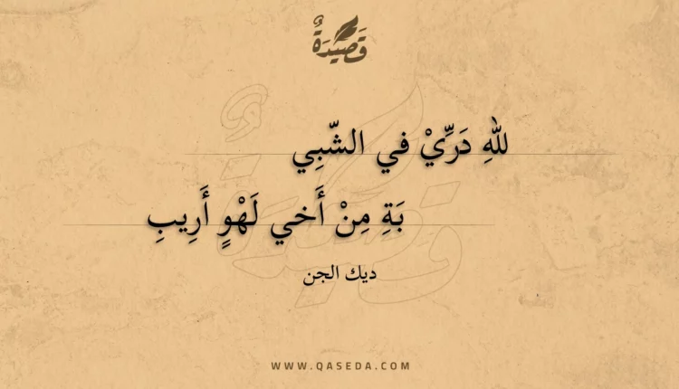 قصيدة لله دري في الشبية